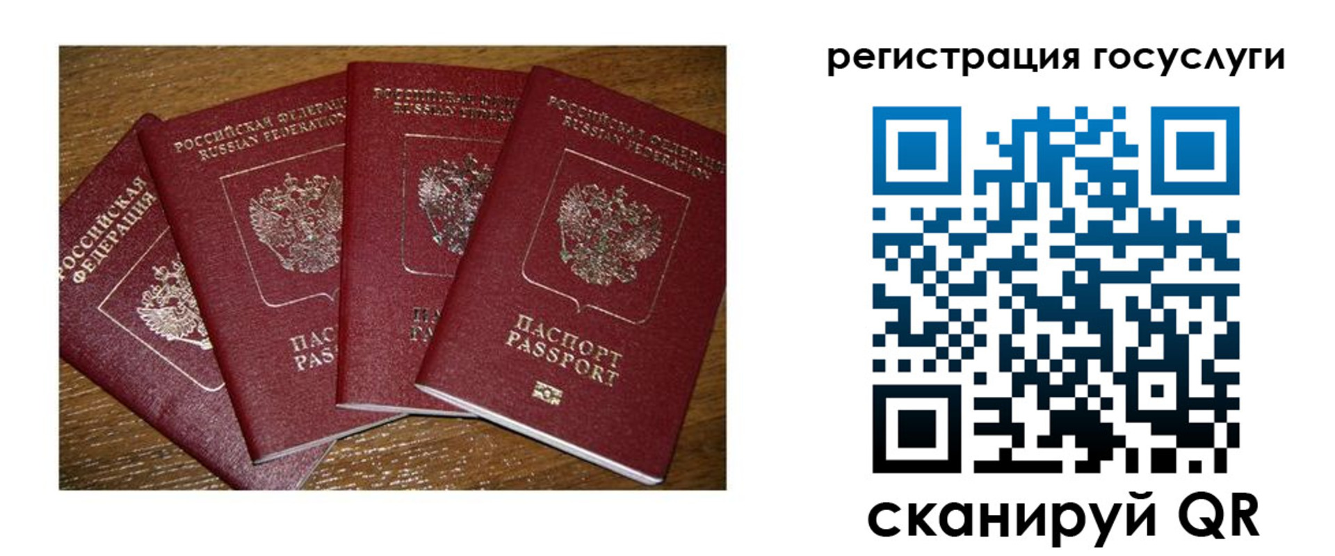 временная регистрация гарантия в Калужской области